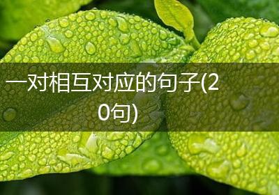 一对相互对应的句子(20句)