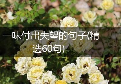一味付出失望的句子(精选60句)