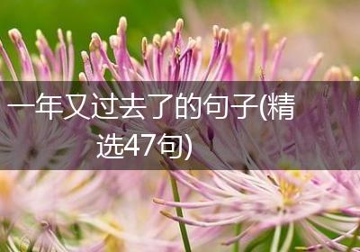 一年又过去了的句子(精选47句)
