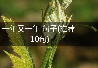一年又一年 句子(推荐10句)