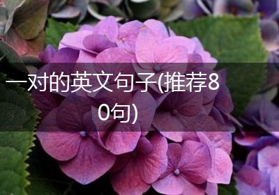 一对的英文句子(推荐80句)