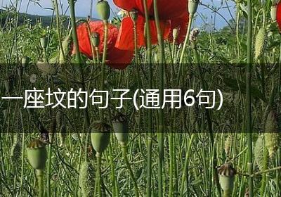 一座坟的句子(通用6句)