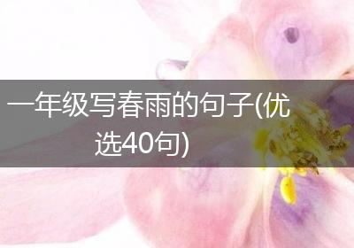 一年级写春雨的句子(优选40句)