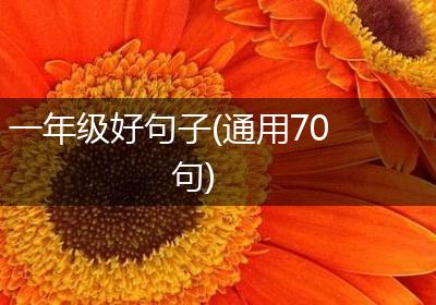 一年级好句子(通用70句)