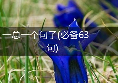 一总一个句子(必备63句)