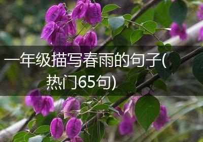 一年级描写春雨的句子(热门65句)