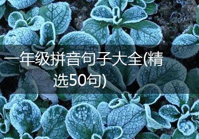 一年级拼音句子大全(精选50句)