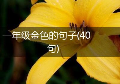一年级金色的句子(40句)
