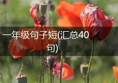 一年级句子短(汇总40句)