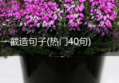一截造句子(热门40句)