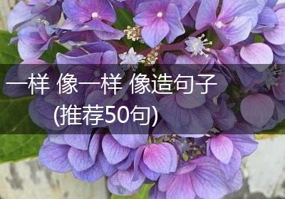 一样 像一样 像造句子(推荐50句)