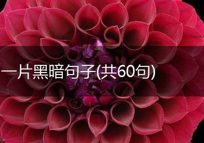 一片黑暗句子(共60句)
