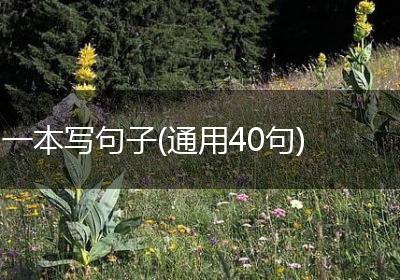一本写句子(通用40句)