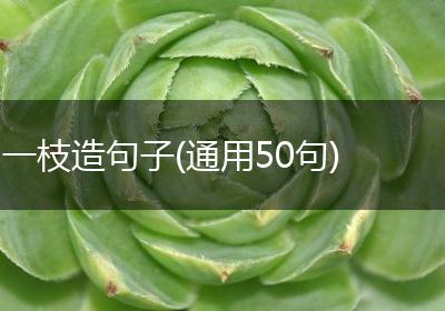 一枝造句子(通用50句)
