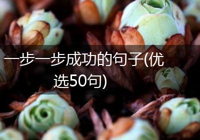 一步一步成功的句子(优选50句)