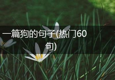 一篇狗的句子(热门60句)