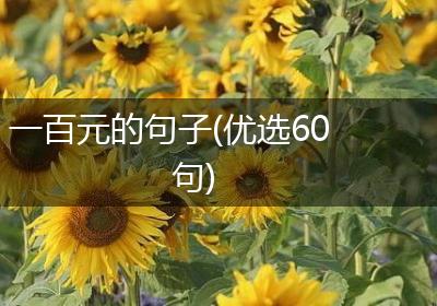 一百元的句子(优选60句)