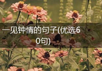一见钟情的句子(优选60句)