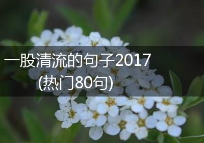 一股清流的句子2017(热门80句)