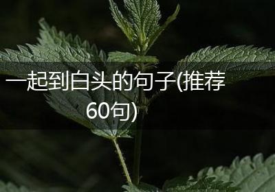 一起到白头的句子(推荐60句)