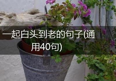 一起白头到老的句子(通用40句)