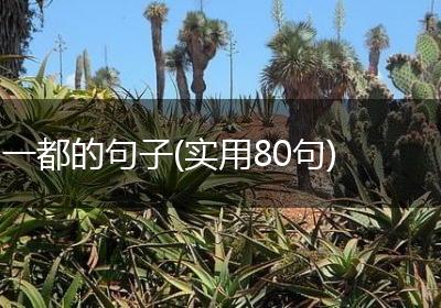 一都的句子(实用80句)