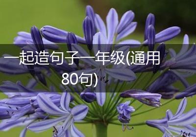 一起造句子一年级(通用80句)