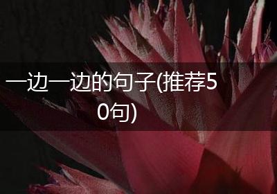 一边一边的句子(推荐50句)