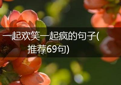 一起欢笑一起疯的句子(推荐69句)