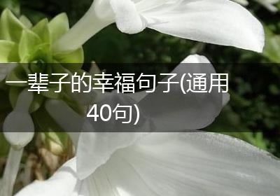 一辈子的幸福句子(通用40句)