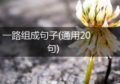 一路组成句子(通用20句)