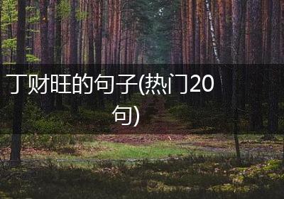 丁财旺的句子(热门20句)
