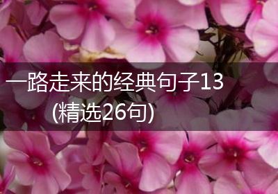 一路走来的经典句子13(精选26句)