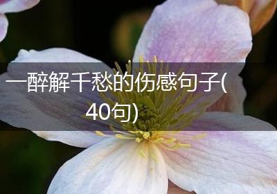一醉解千愁的伤感句子(40句)