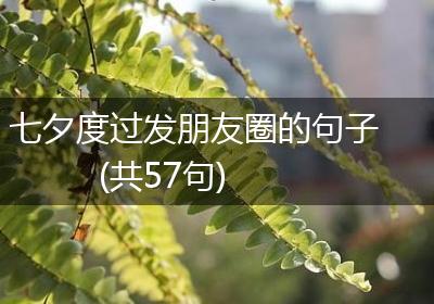 七夕度过发朋友圈的句子(共57句)