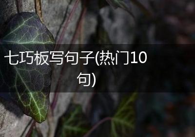 七巧板写句子(热门10句)