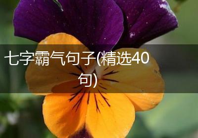 七字霸气句子(精选40句)