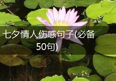 七夕情人伤感句子(必备50句)