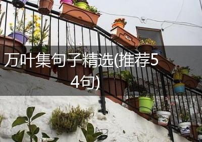 万叶集句子精选(推荐54句)