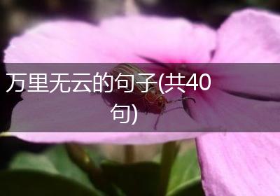 万里无云的句子(共40句)