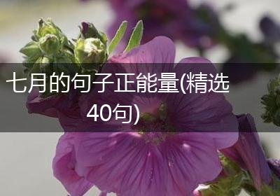 七月的句子正能量(精选40句)