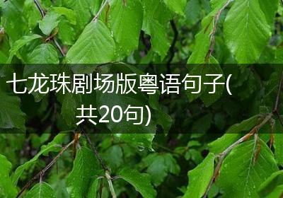 七龙珠剧场版粤语句子(共20句)
