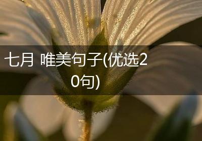 七月 唯美句子(优选20句)