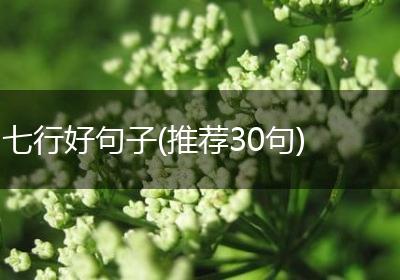 七行好句子(推荐30句)