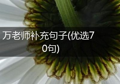 万老师补充句子(优选70句)