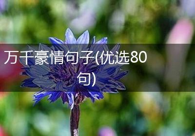 万千豪情句子(优选80句)