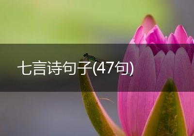 七言诗句子(47句)