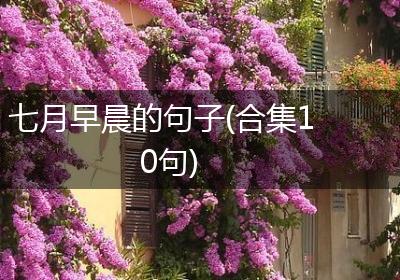 七月早晨的句子(合集10句)