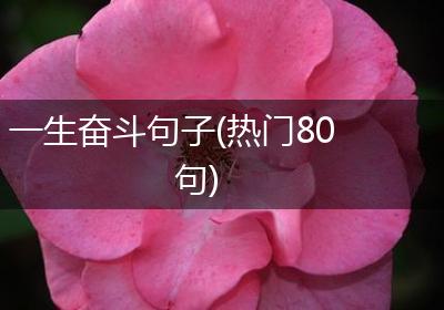 一生奋斗句子(热门80句)