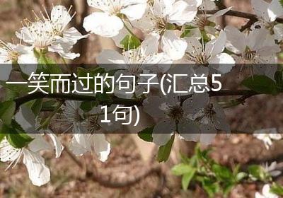 一笑而过的句子(汇总51句)